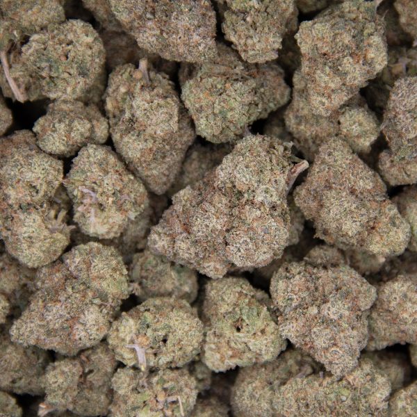 Thin Mint GSC (Mediums) AAA - Image 3