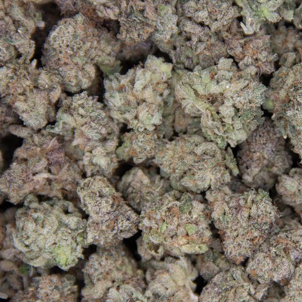 Blue Dream (smalls) AAA - Image 3