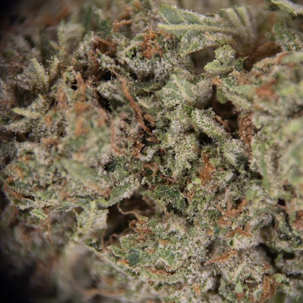 Death Bubba AAA - Image 3