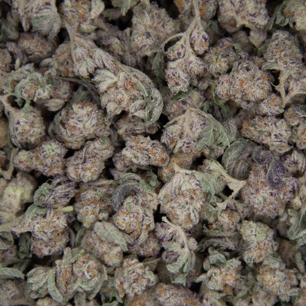 Frosty Gelato (popcorn) AAA - Image 3