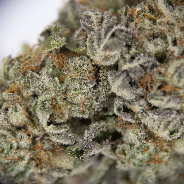 Ghost Train Haze AAA - Image 3