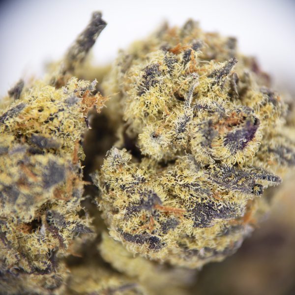 Skywalker (mediums) AAA - Image 2