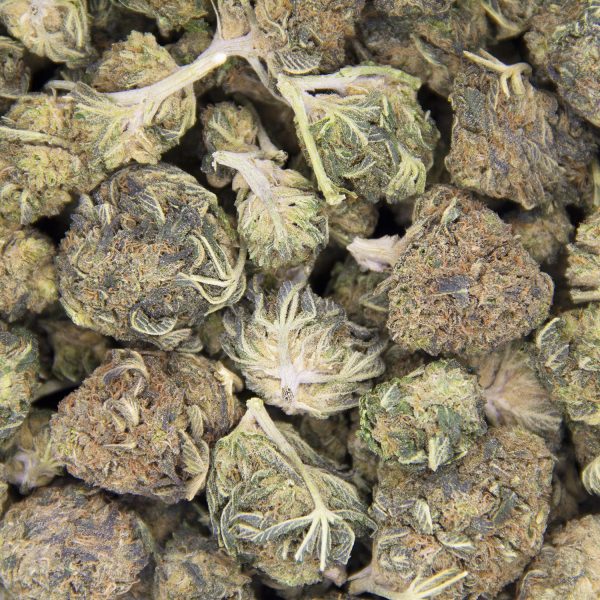 Bubble Kush AA - Image 3