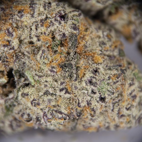 Jet Fuel AAA+ - Image 2