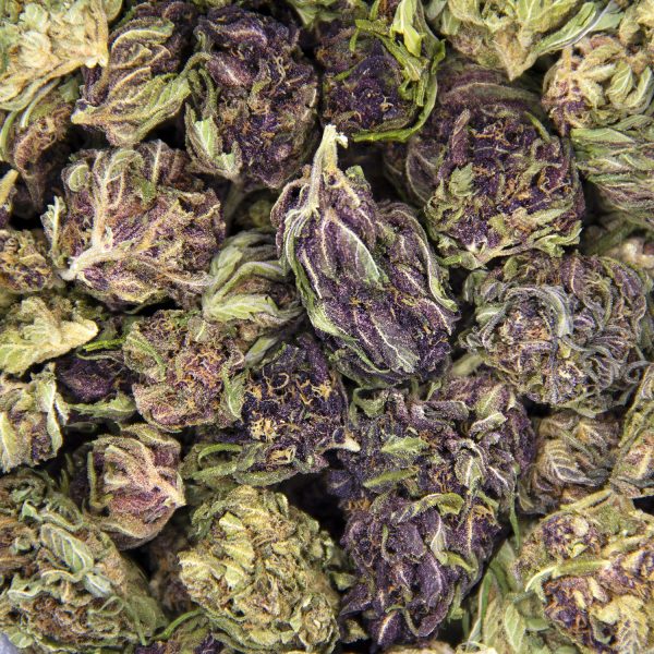 Platinum Girl Scout Cookies AA - Image 3