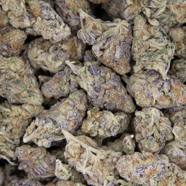 Purple Punch AA - Image 3