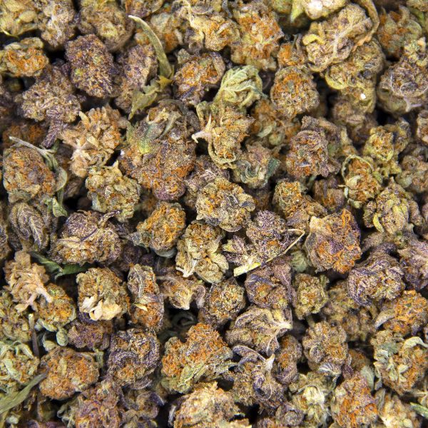 Red Congolese (popcorn) AA - Image 3