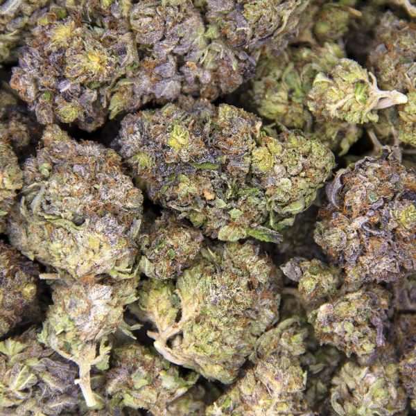 Rockstar Tuna AAA - Image 3