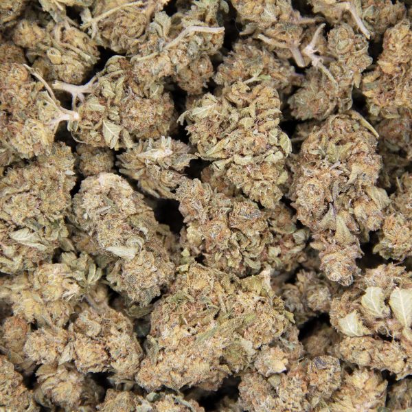 Sour Tangie AA - Image 2