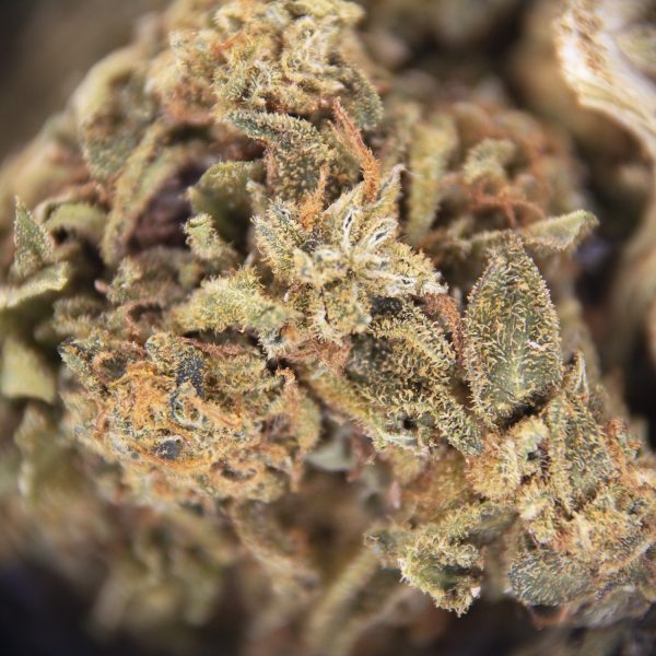 Sour Tangie AA - Image 3