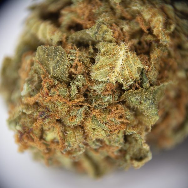 Alien Kush (mediums) AA - Image 2
