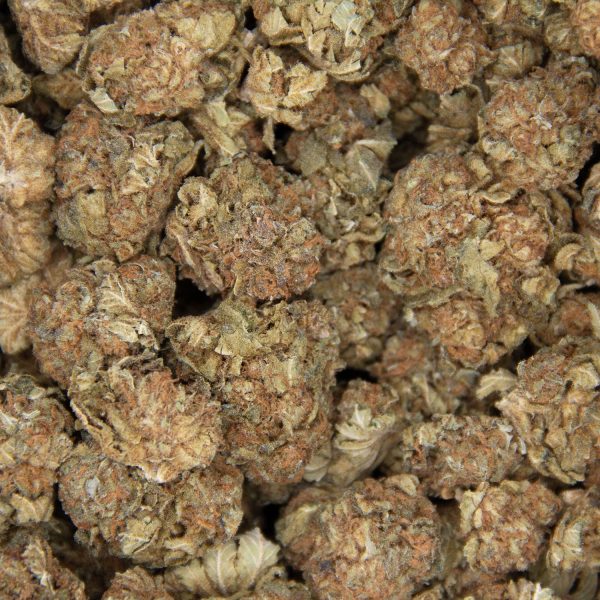 Alien Kush (mediums) AA - Image 3