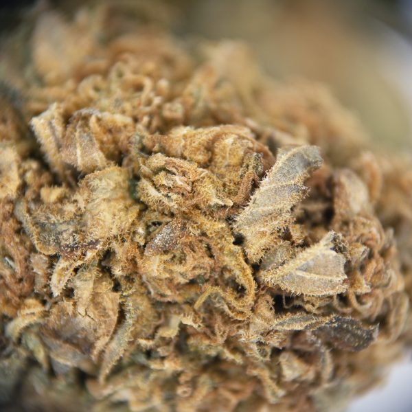 Hindu Kush AA - Image 2