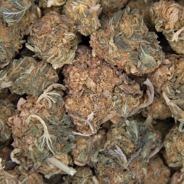 Hindu Kush AA - Image 3
