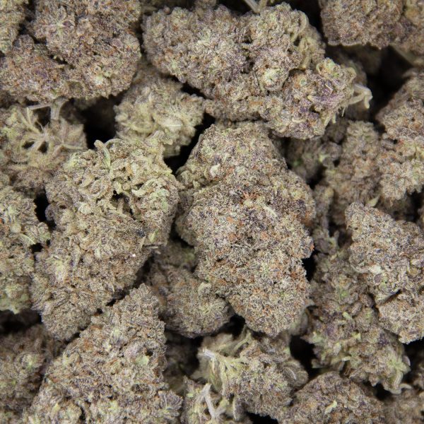 Purple Dog Poo AAA - Image 3