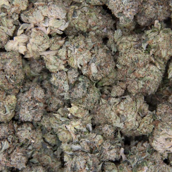 Slurricane AAA - Image 3
