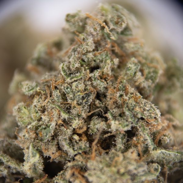 Super Silver Haze AA+ - Image 2