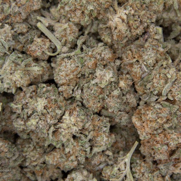 Super Silver Haze AA+ - Image 3