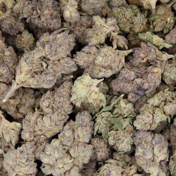 Alaskan Thunder Fuck AA - Image 2