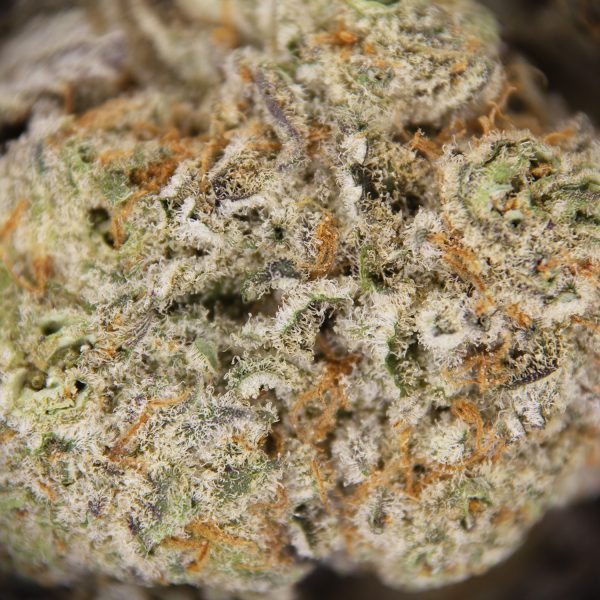 Bruce Banner AAA+ - Image 2