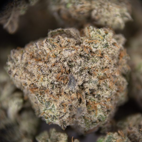 Cherry Pie (smalls) AA - Image 3