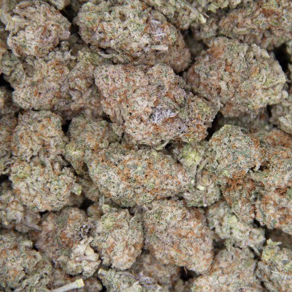 Dutch Treat (mediums) AA - Image 3