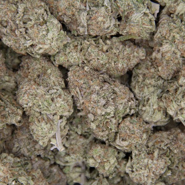 Fire OG AAA - Image 3