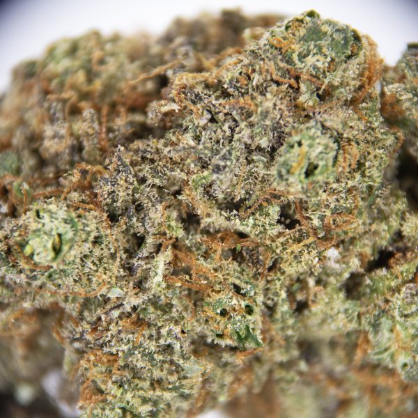 Gelato AA+ - Image 3