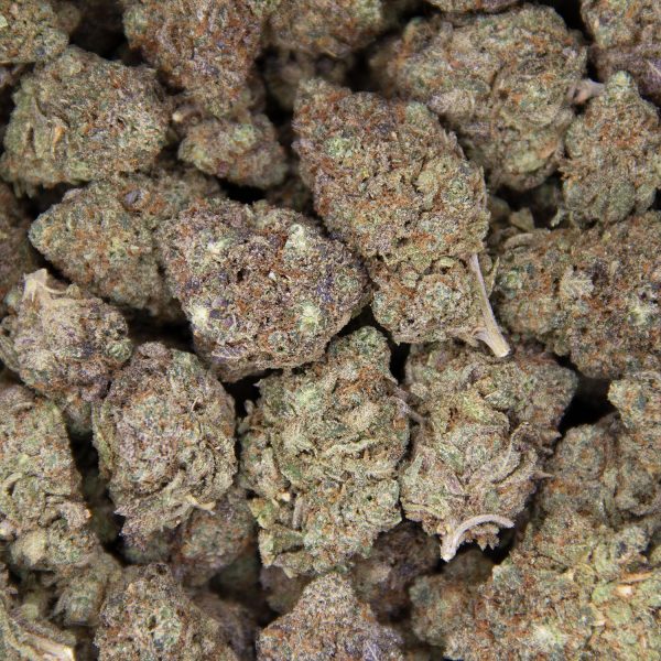 Gelato AA+ - Image 2