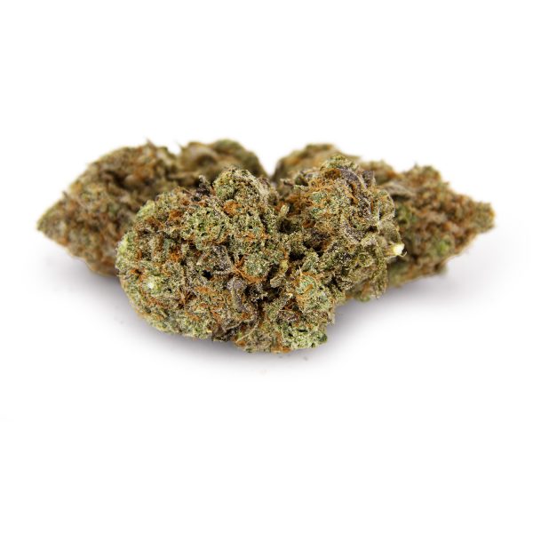 Gelato AA+