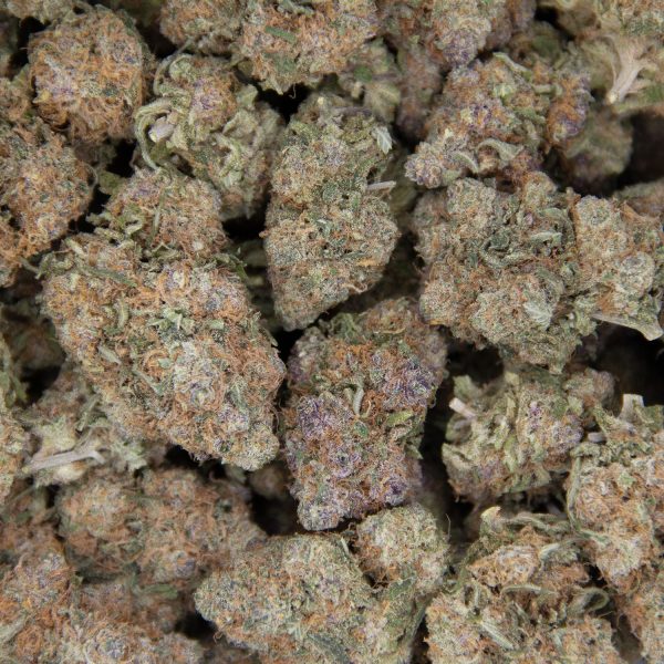 Gushers AAA- - Image 3