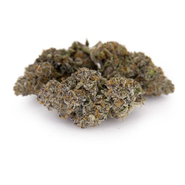 Mimosa x Orange Punch AAAA+/Craft