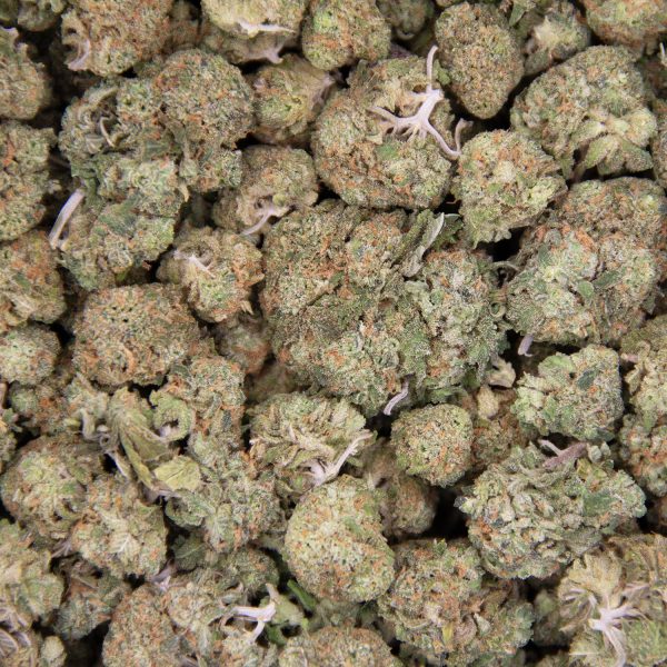 Punch Breath (mediums) AA - Image 3