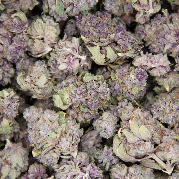 Purple Champagne AA - Image 2
