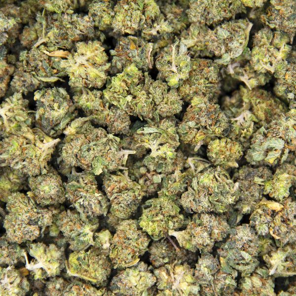 Alien Bubba (popcorn) AA - Image 3