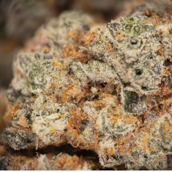 Juicy Fruit AA+ - Image 2