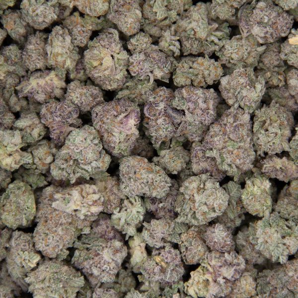 Tiger King (popcorn) AAA - Image 3