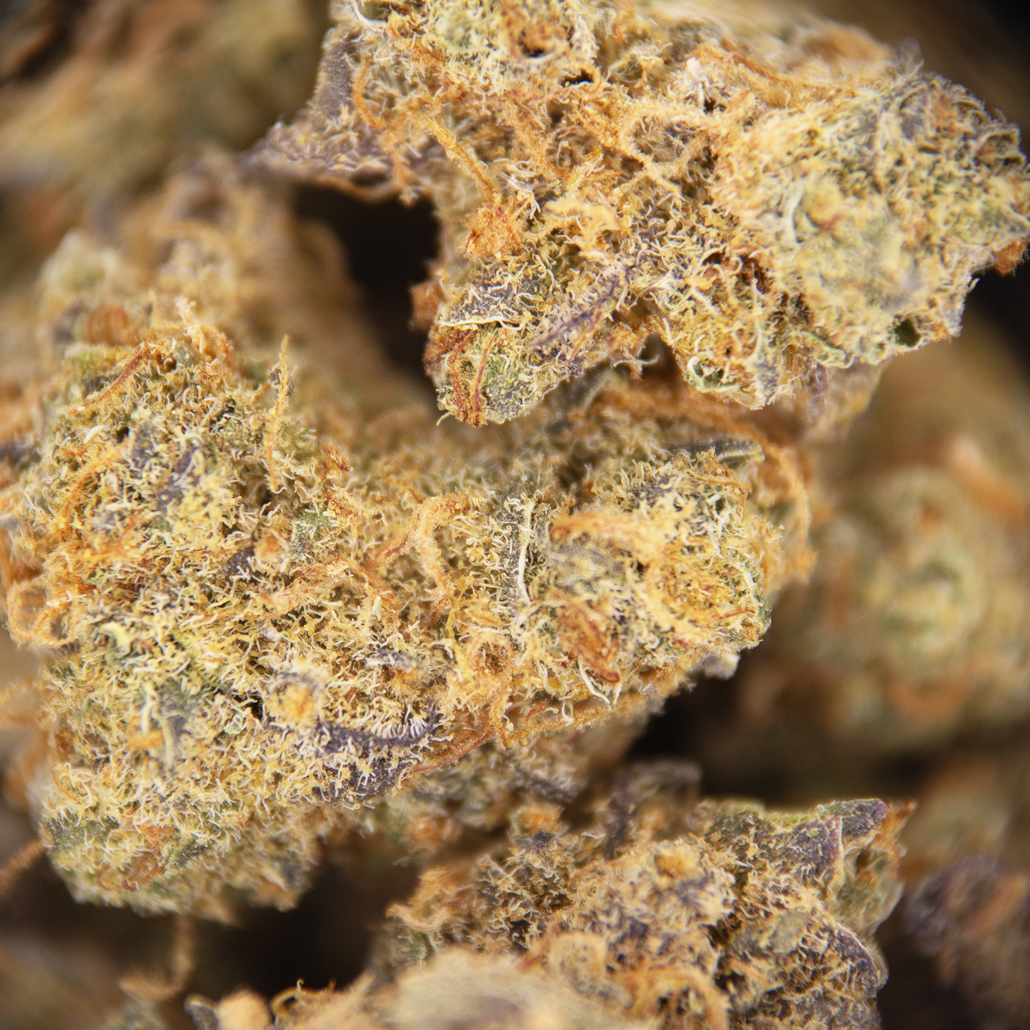 Orange Cookies (popcorn) AA - Image 2