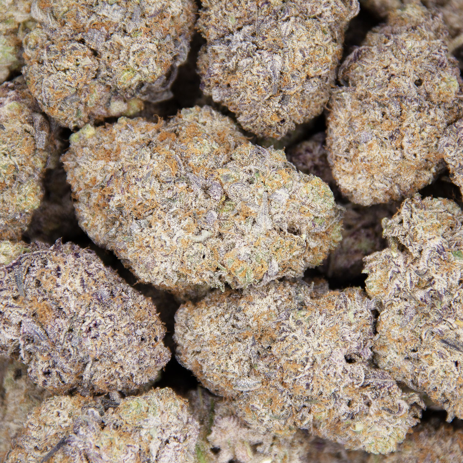 Oreo Big Stuff AAAA - Image 3