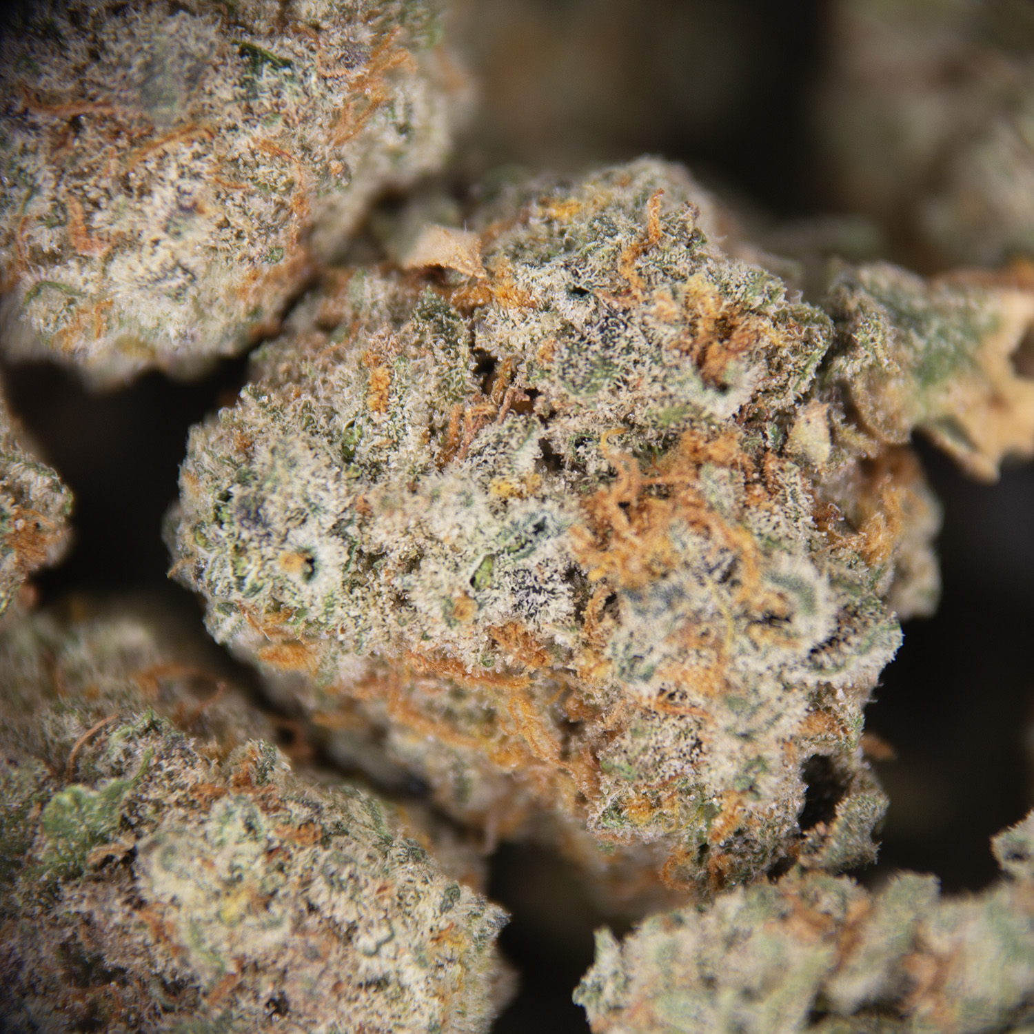 Wedding Cake (smalls) AAA - Image 2