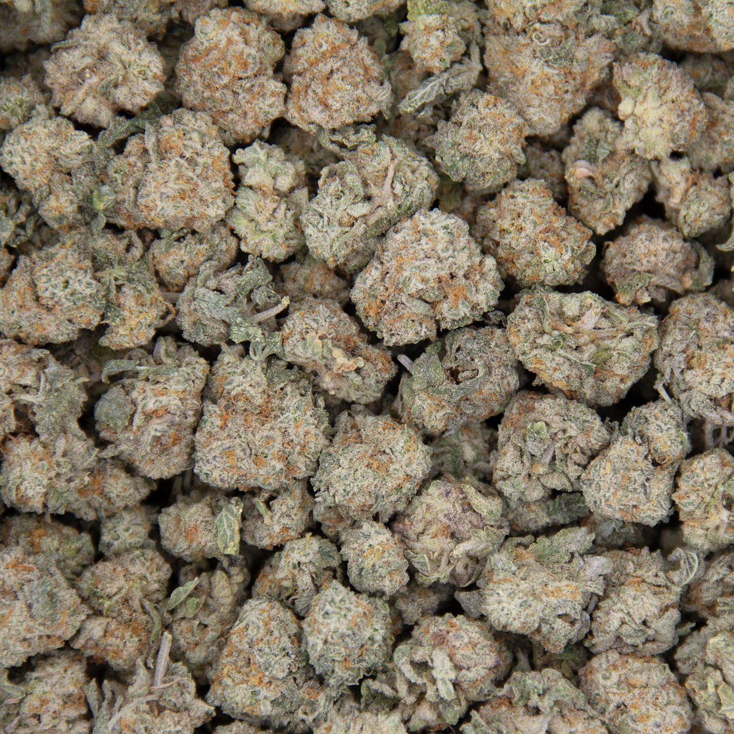 Wedding Cake (smalls) AAA - Image 3