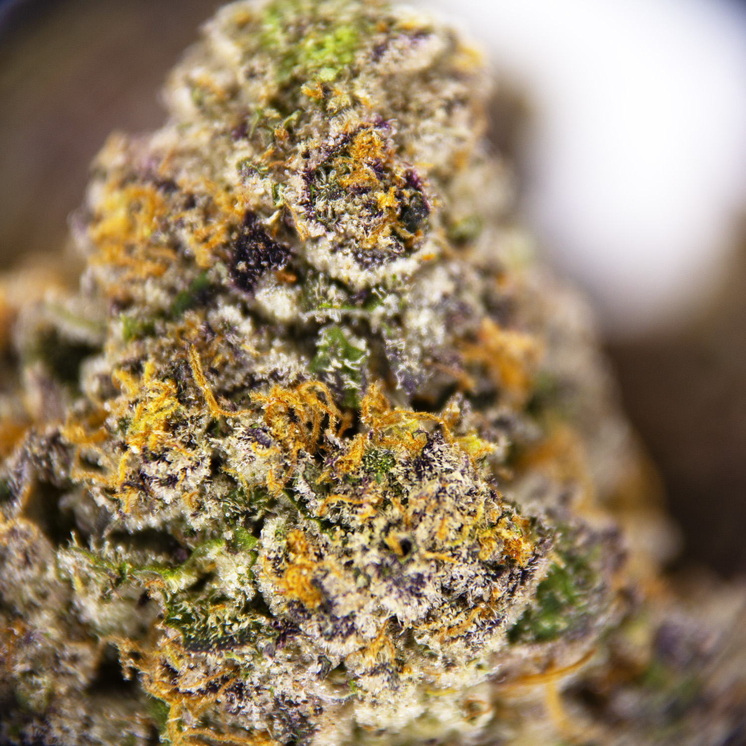 Cali Orange AAAA - Image 2