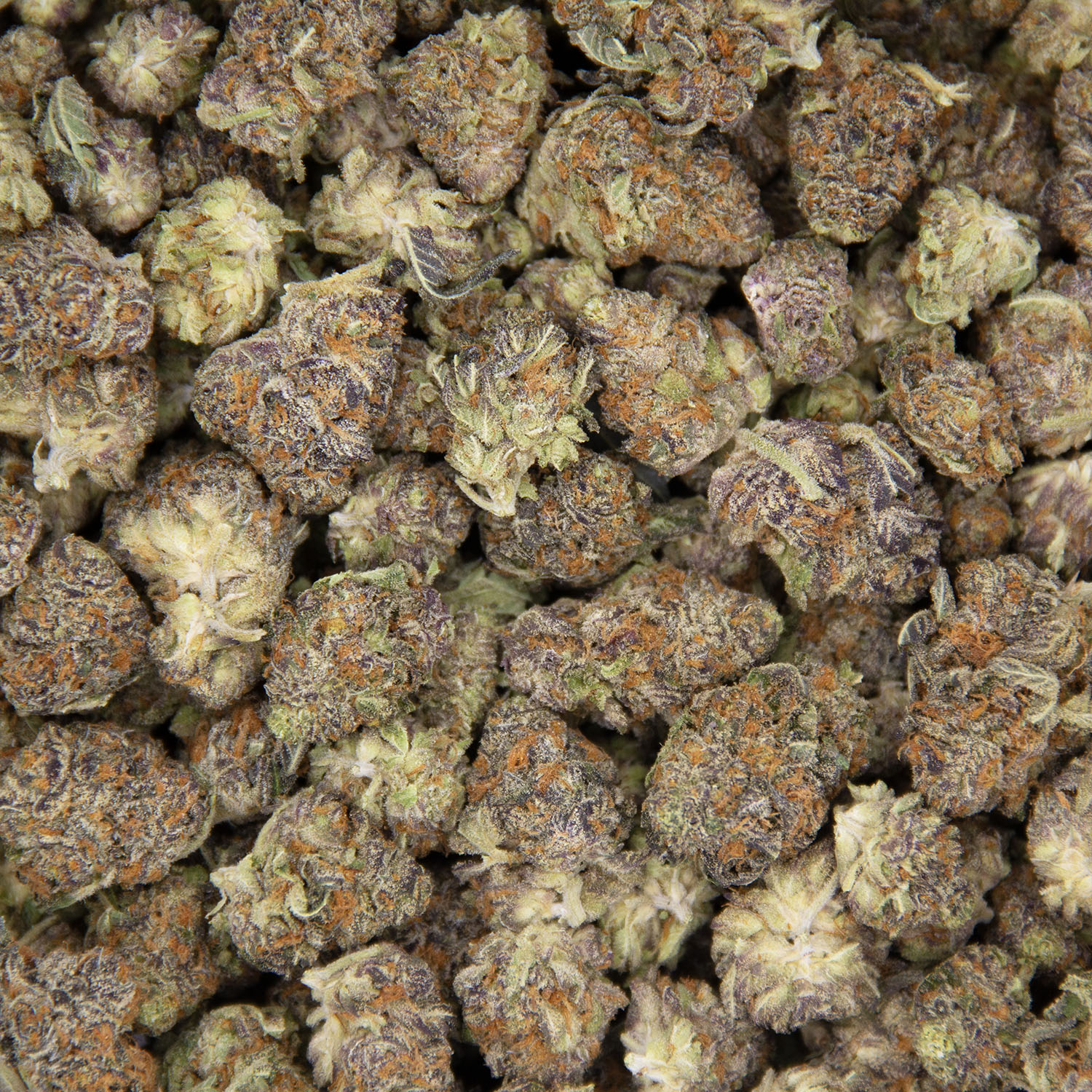 Cherry Punch (smalls) AAA - Image 3