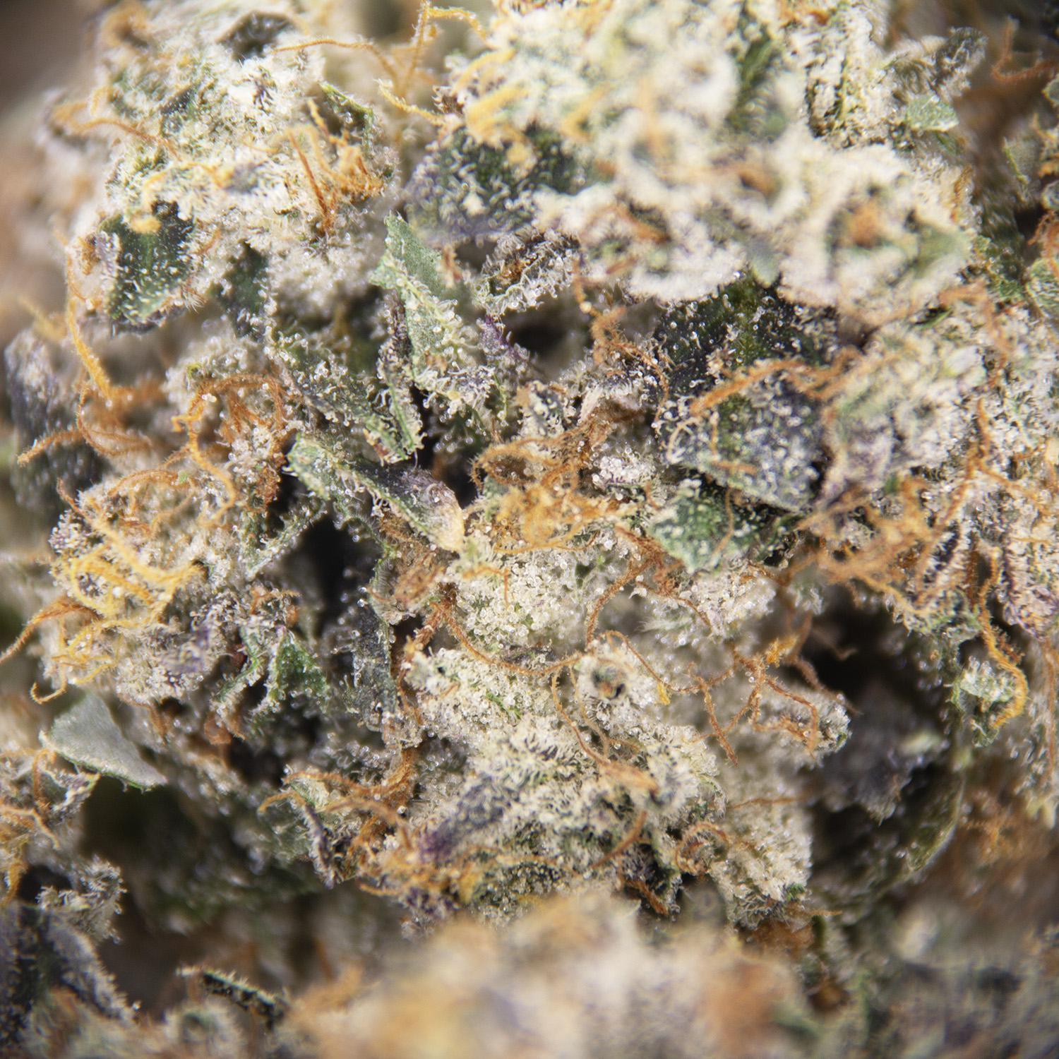 Death Star AAAA - Image 2