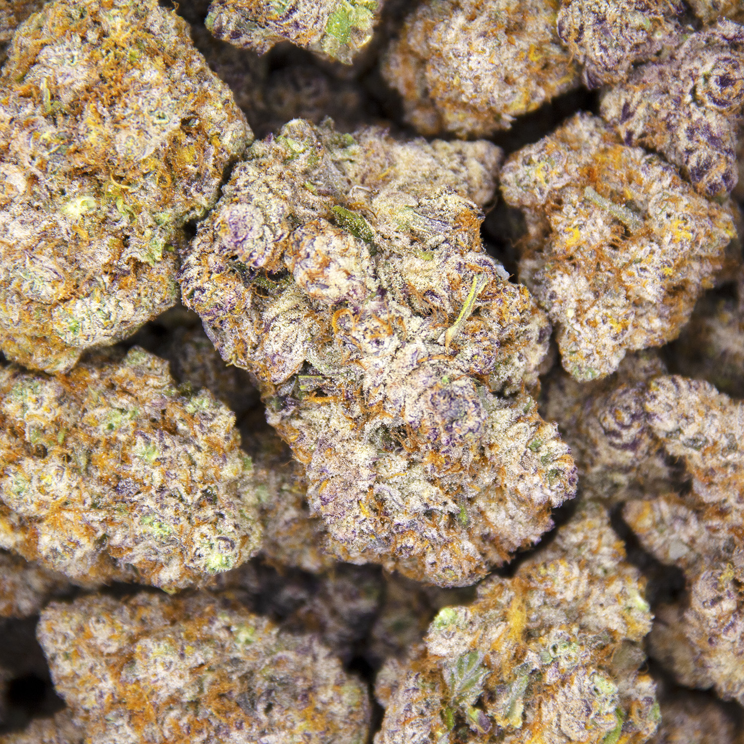 Frozen Grapes AAAA - Image 3