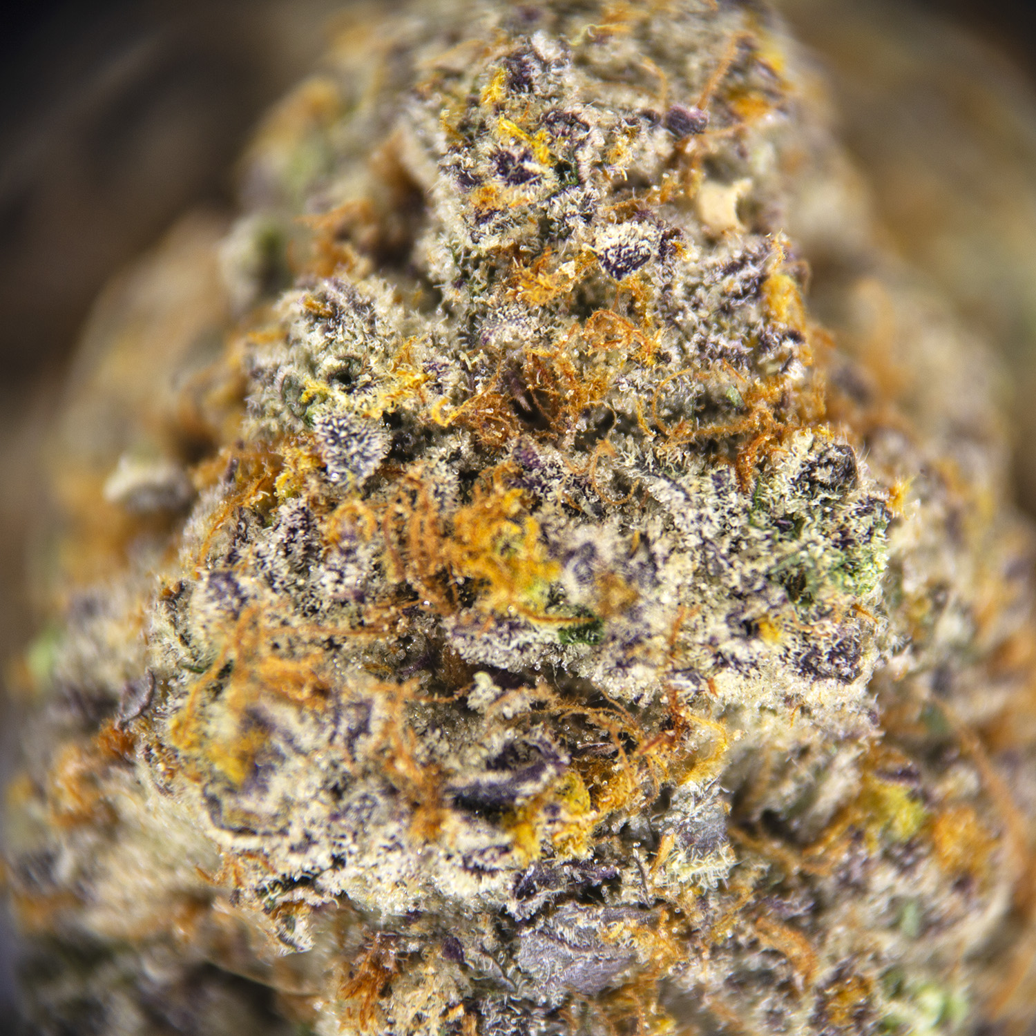 Frozen Grapes AAAA - Image 2