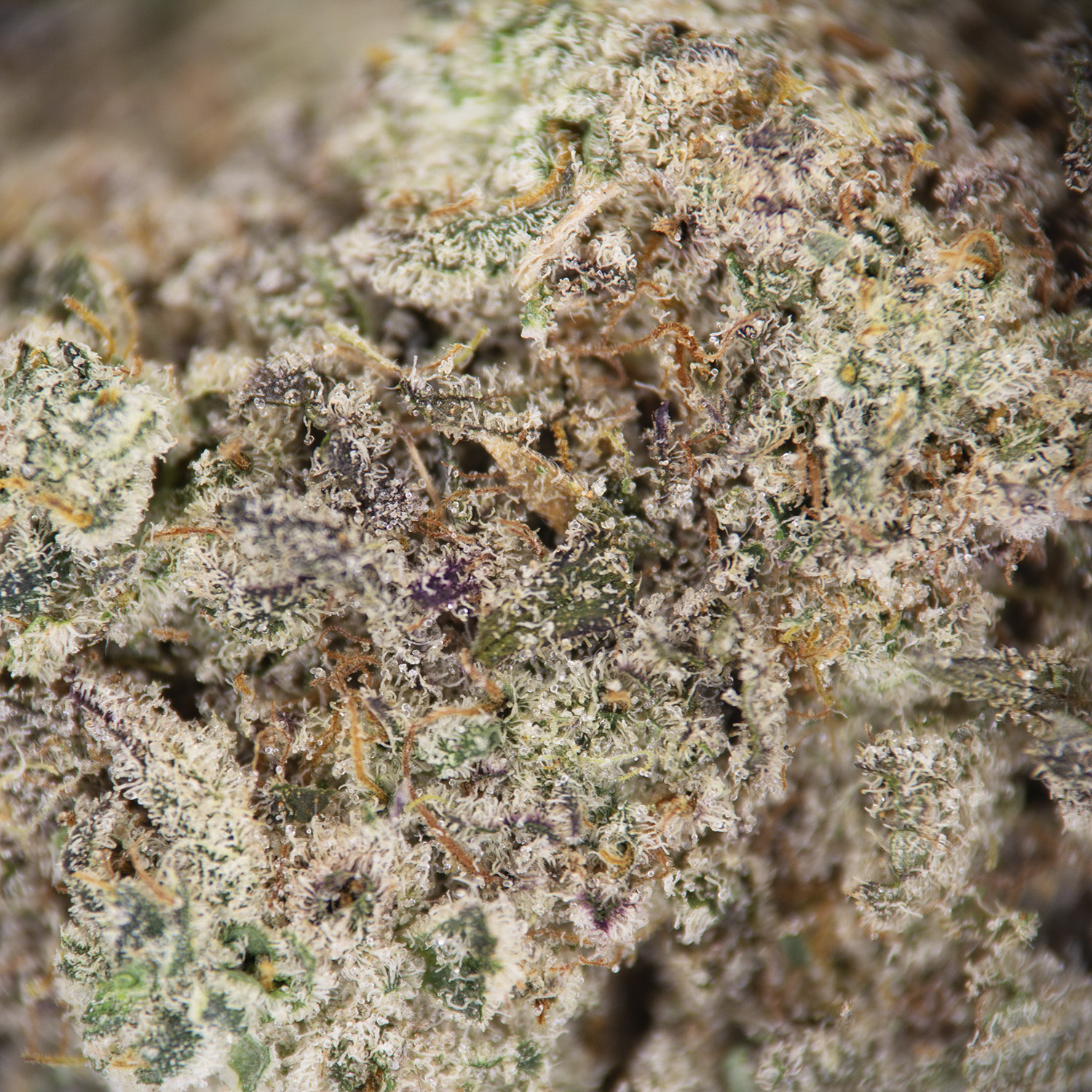 MAC V2 AAA - Image 2