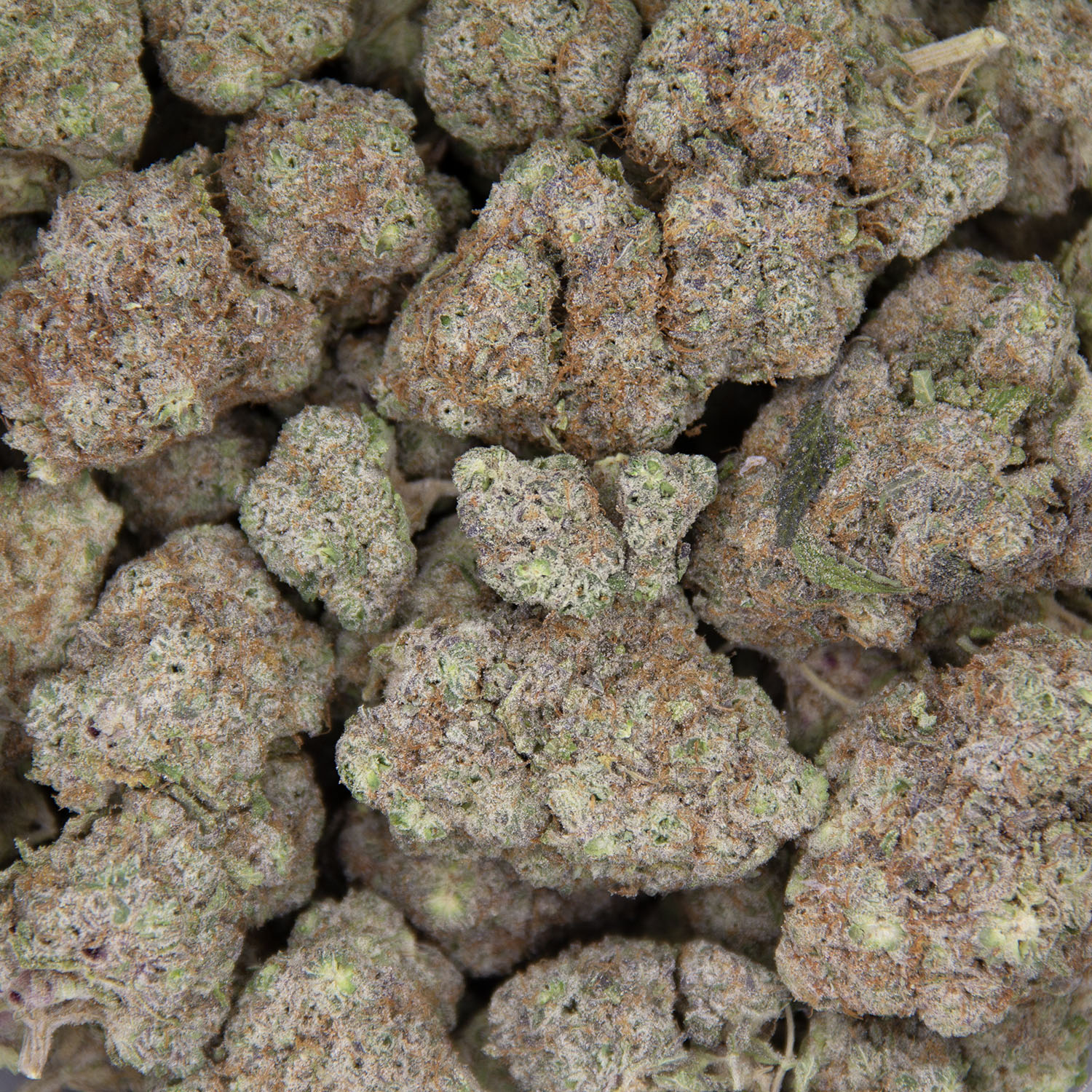 Tropic Thunder AAA - Image 3