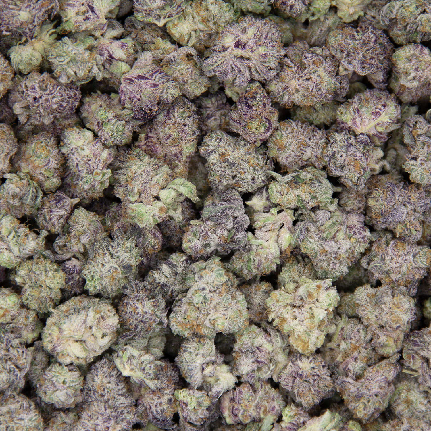 Apple Pie (popcorn) AAA - Image 3