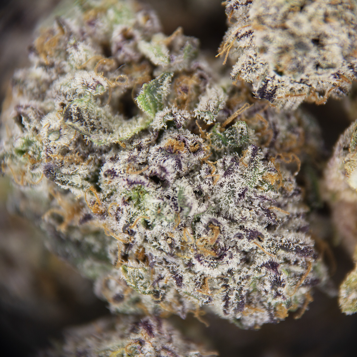 Apple Pie (popcorn) AAA - Image 2